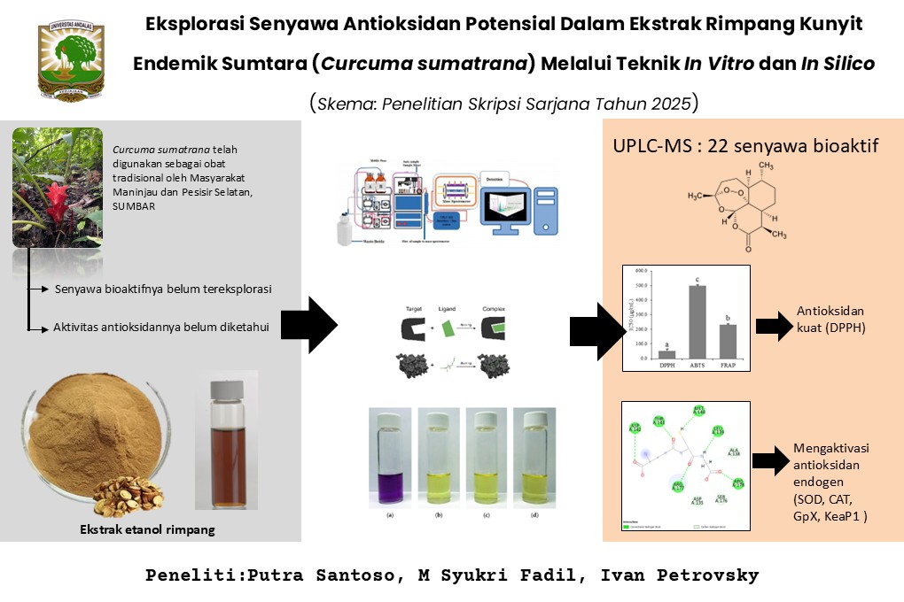 Eksplorasi Senyawa Antioksidan Potensial Dalam Ekstrak Rimpang Kunyit Endemik Sumtara (Curcuma sumatrana) Melalui Teknik In Vitro dan In Silico